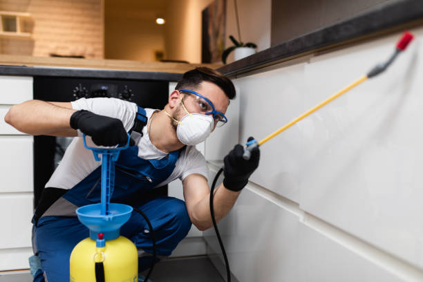 Best Residential Pest Control  in Olympia, WA