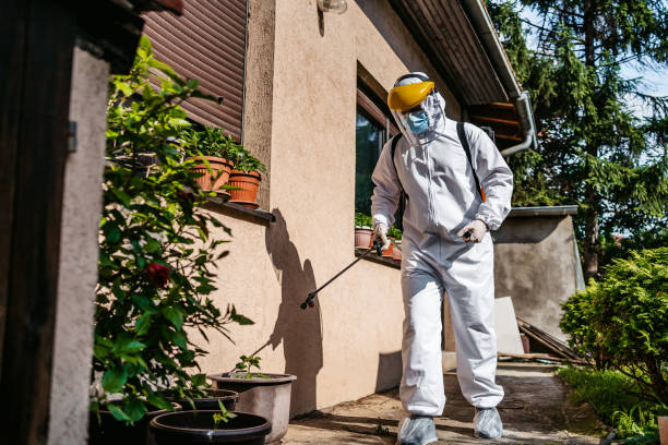 Best Local Pest Control Services  in Olympia, WA