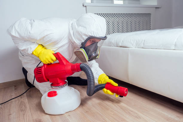 Best Emergency Pest Control  in Olympia, WA