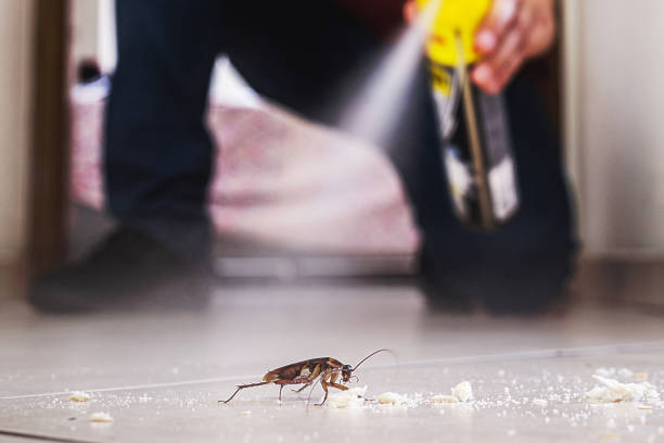 Best Pest Removal Services  in Olympia, WA