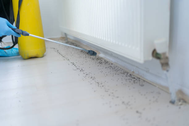 Best Best Pest Control Companies  in Olympia, WA