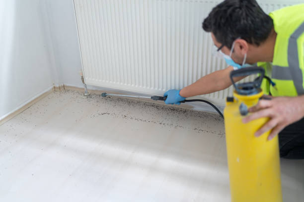 Best Affordable Exterminators  in Olympia, WA